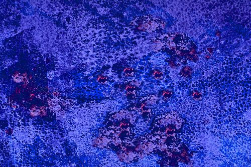 BLAUW 2
