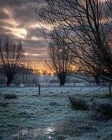 Morning Colors