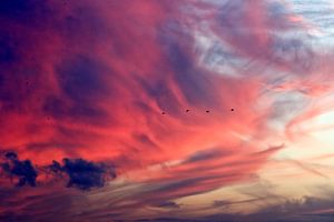 Ciel spécial soleil couchant