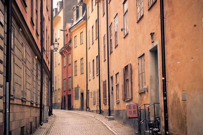 Straten van Stockholm van Sander van Leeuwen