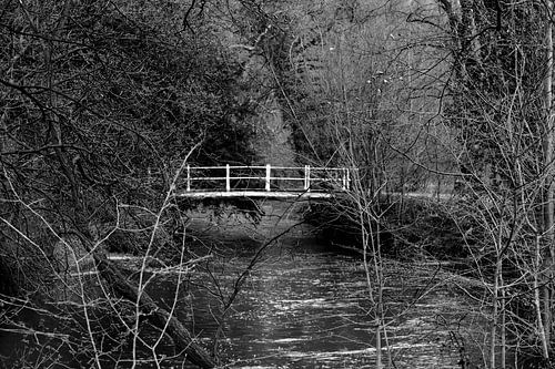 Brug over het water