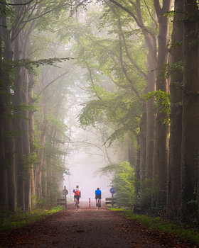 Fietsen in het bos