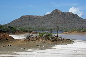 Saliña met zout Washington Slagbaai Park Bonaire. van Silvia Weenink