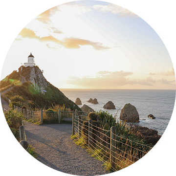 Zonsopgang Nugget Point: Gouden Stralen bij de Vuurtoren van Be More Outdoor