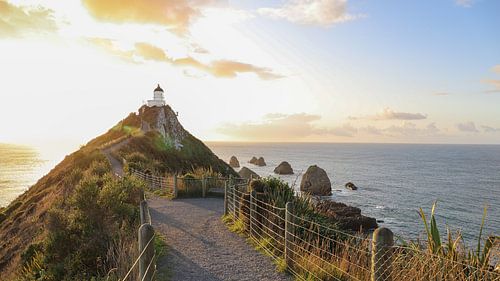 Sonnenaufgang am Nugget Point: Goldene Rochen am Leuchtturm