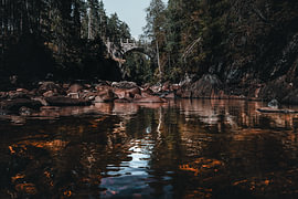 Nature suédoise - Grand tirage photo monumental représentant le pont en arc en pierre dans les bois près de Brattfallet sur Dylan Winter Visuals