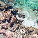 Koraal Blauwe Zee van Wahid Fayumzadah thumbnail