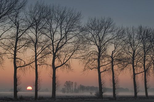 Polderlandschap met zonsopkomst