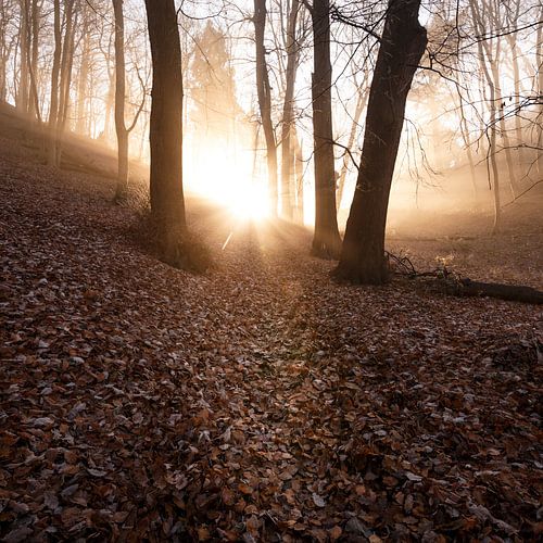 Magic Light 004