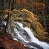 Riesloch waterfall in autumn by Max Schiefele