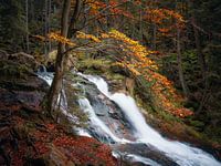 Riesloch waterfall in autumn