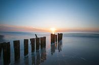 Zonsondergang bij de Kerf in Schoorl par Dirk Sander Aperçu