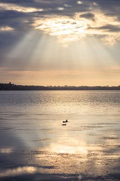 Golden morning hour by Severin Frank Fotografie
