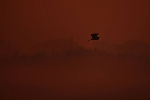 Fuite dans le silence I – Bennekom