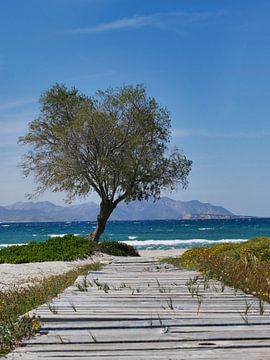 Weg zum Strand auf Kos von Capture ME Drohnenfotografie