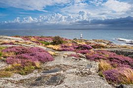 View of Käringön island in Sweden by Rico Ködder