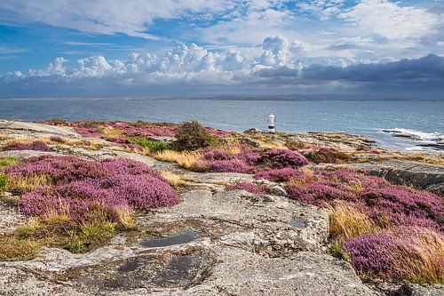 Gezicht op het eiland Käringön in Zweden