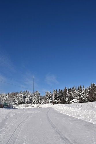 De dorpsweg in de winter