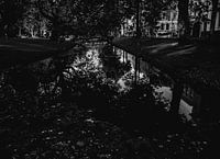 Reflectie in het water