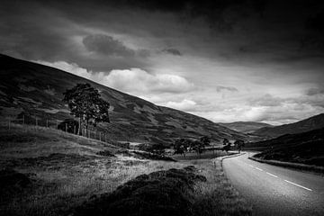 Landschap Schotland (zwart/wit) van Dennis Wardenburg