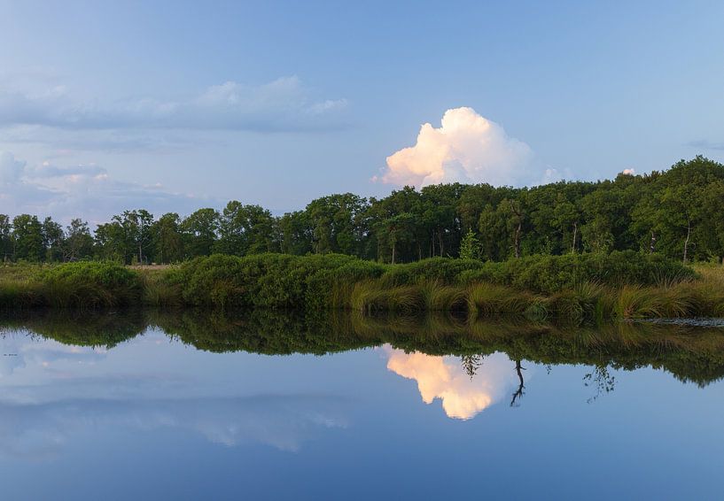 Appelbergen nature reserve - Groningen (Netherlands) by Marcel Kerdijk