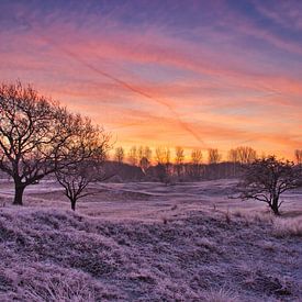 Winterwunderland von SoMe Fotografie