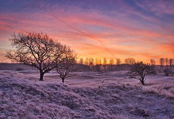 Winterwonderland van SoMe Fotografie