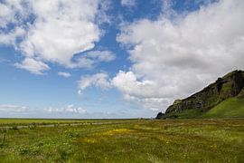 Isländische Landschaft von Ewan Mol