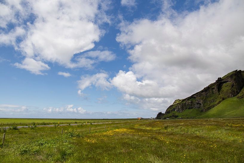 Isländische Landschaft von Ewan Mol