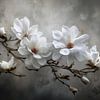 Weißer Magnolienzweig – Zeitlos und beruhigend von Joriali Fine Art