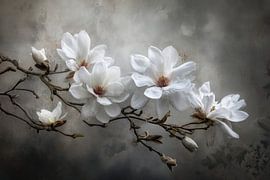 Witte Magnolia Tak -  Tijdloos en Rustgevend van Joriali Fine Art