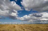 Piles of cotton van Dick Nieswaag thumbnail