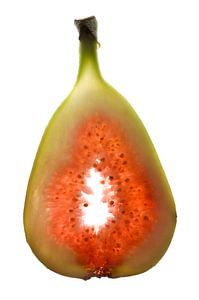 sliced fig by Jörg B. Schubert