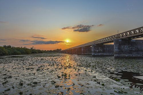 Zonsondergang bij de Moerputtenbrug