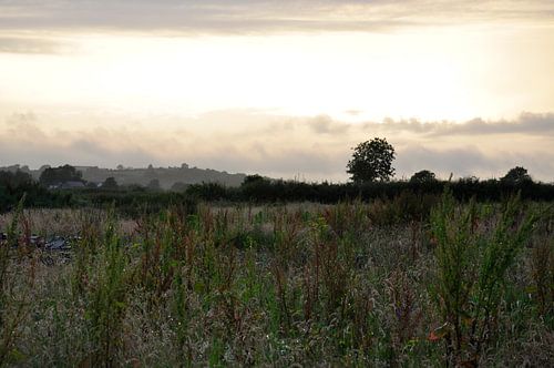 Landschap Ierland