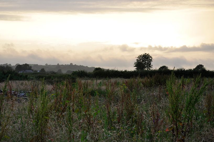 Landschap Ierland van Alice Sies