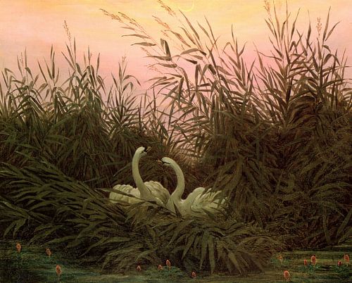 Caspar David Friedrich,Zwanen in het riet