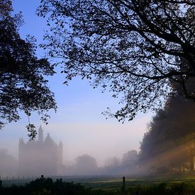 Zonsopkomst bij Middeleeuws Kasteel Doornenburg / Sunrise at medieval Doornenburg castle van Joyce Derksen