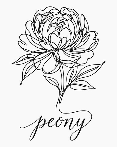 Minimalistische poster met een lijntekening van een pioenroos – witte uitvoering
