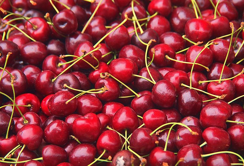 Le temps des cerises par Edgar Schermaul