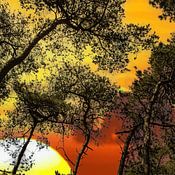 Klaas Borsjes Profile picture