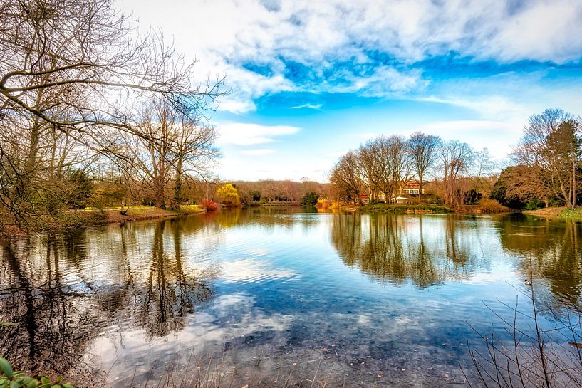 Arbres de réflexion dans le parc du château de Berge à Gelsenkirchen par Dieter Walther