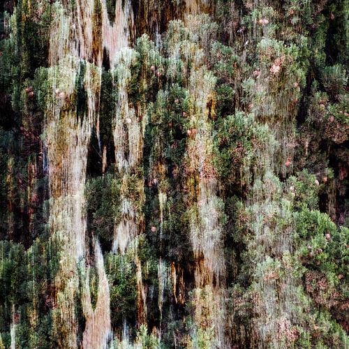 Caught in the Trees I