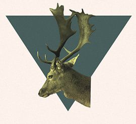 Hirsch gelb von Mo Barends