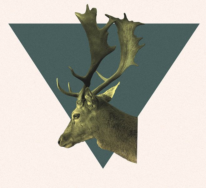 Cerf jaune par Mo Barends