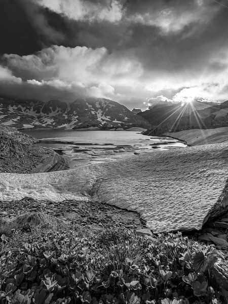 Grimsel Pass by Patrick van Lion