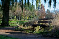 Eenzaam in het park