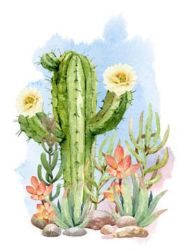 Cactus met bloemen