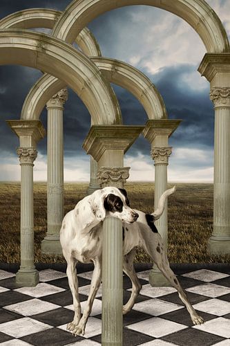 Confused von Marja van den Hurk