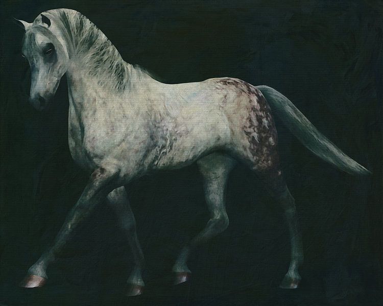 Pferde -Weißes Pferd bei einer Dressurübung von Jan Keteleer